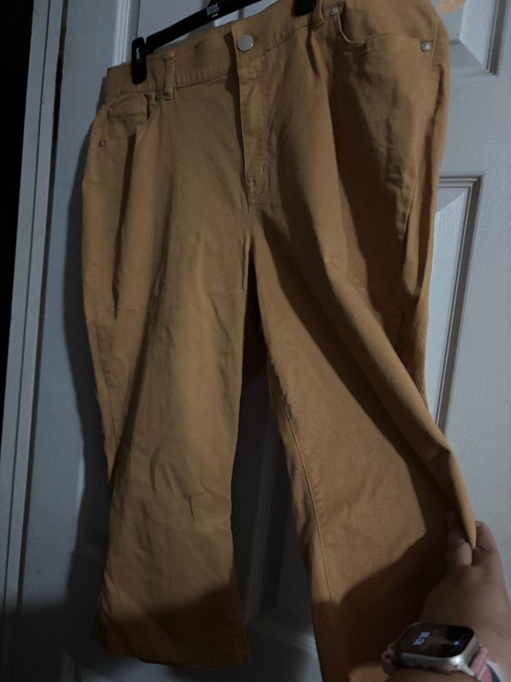 Lane Bryant Capri Pants